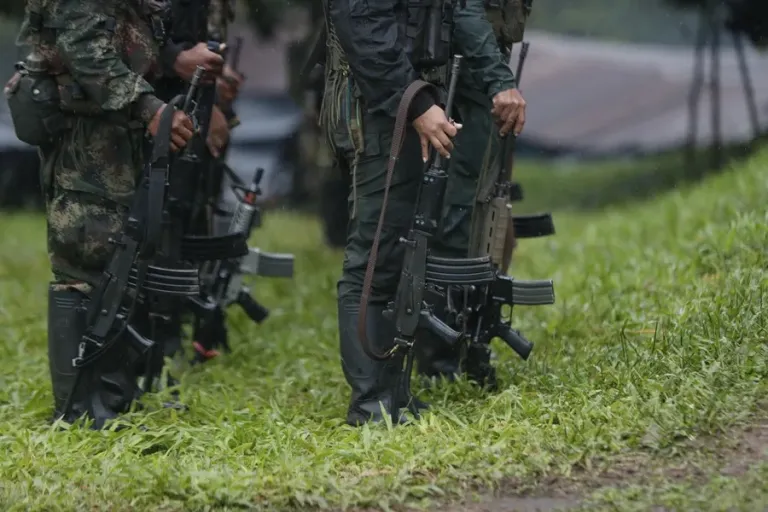 Personas con uniformes de camuflaje y fusiles, de pie sobre césped.