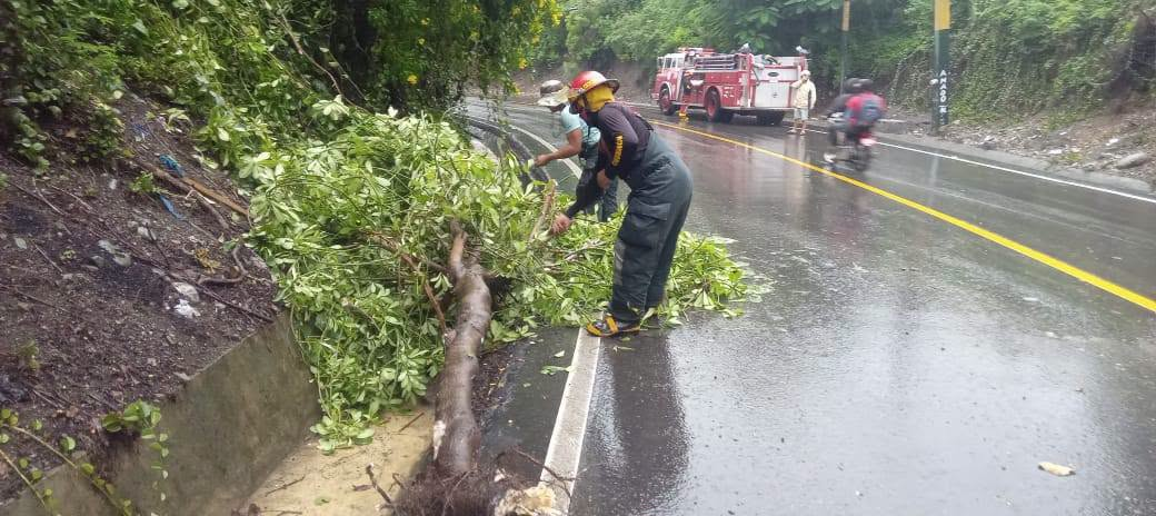 Bombero retira ramas junto a una cuneta, con un camión de bomberos al fondo