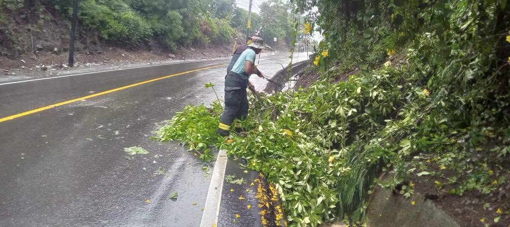 Brigadista retira ramas de un árbol junto a una carretera mojada